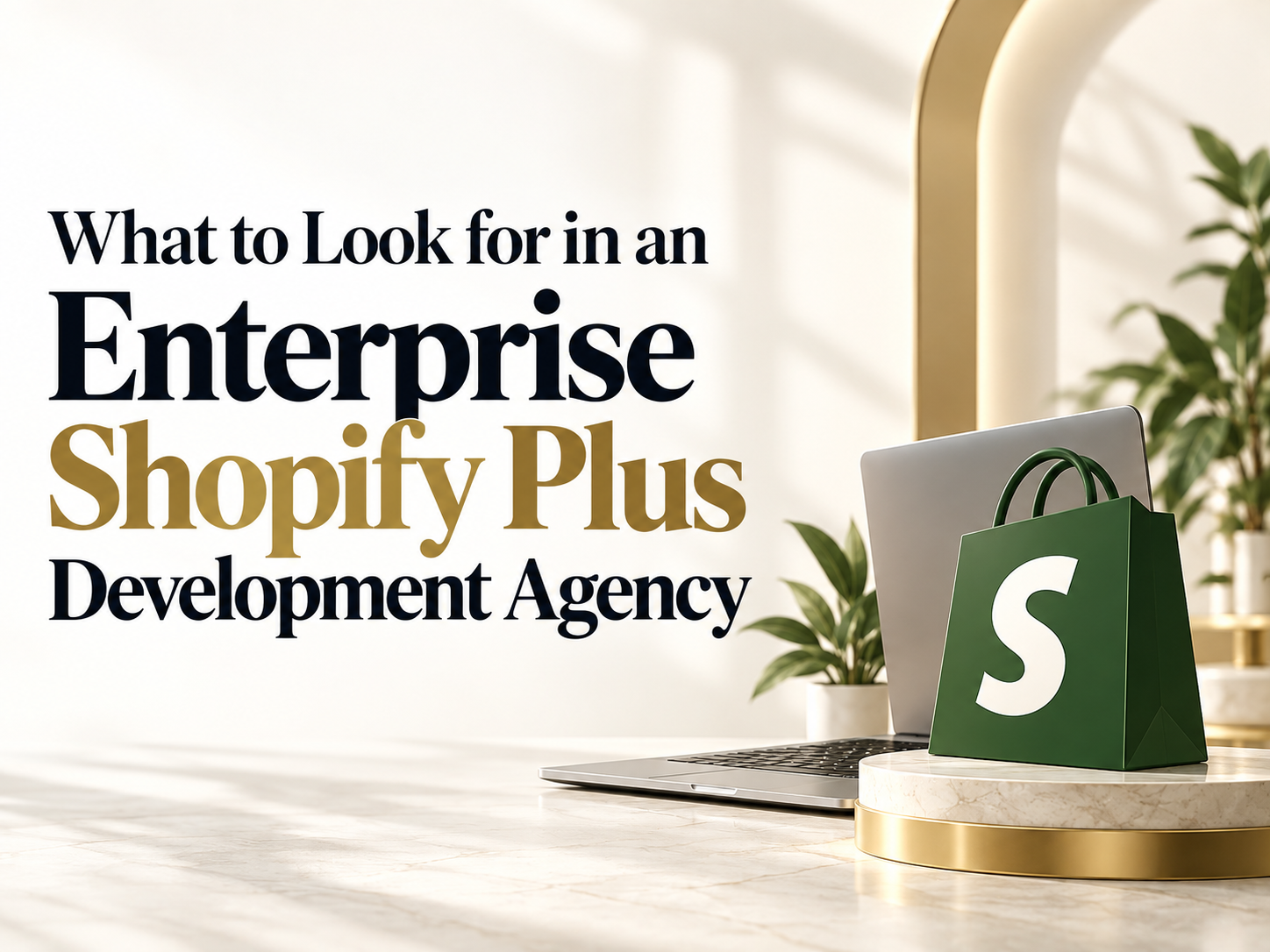 What to Look for in an Enterprise Shopify Plus Development Agency